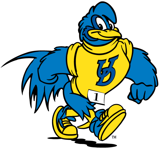 delaware blue hens 1993-pres mascot logo v3 diy fabric transfer